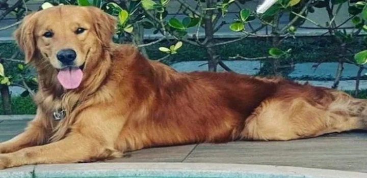 POLICIAL MATA CACHORRO EM GUARAPARI
