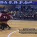 Alunos de medicina ficam pelados e simulam masturbação durante jogo de vôlei feminino em campeonato universitário em SP