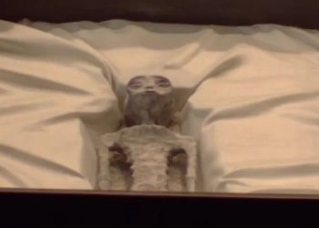 corpos de extraterrestres no mexico