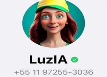 numero da luzia no whatsapp