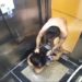 advogado agride mulher em elevador