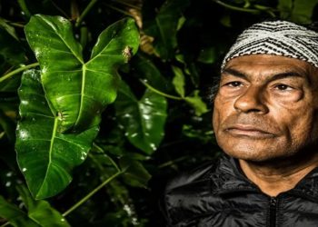 INDIGENA NA ABL