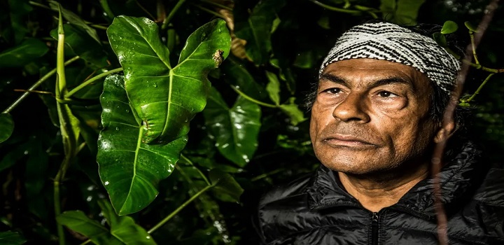 INDIGENA NA ABL