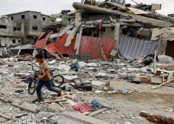 genocidio em gaza: diretor da onu acusa israel