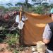 TRABALHO ESCRAVO NO BRASIL