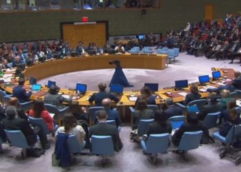 proposta brasileira na ONU