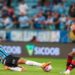 melhores momentos flamengo x gremio