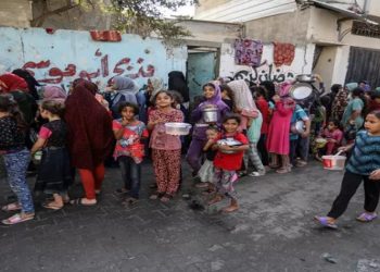 brasileiros em gaza