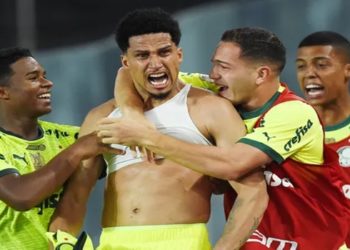 PALMEIRAS X BOTAFOGO MELHORES MOMENTOS