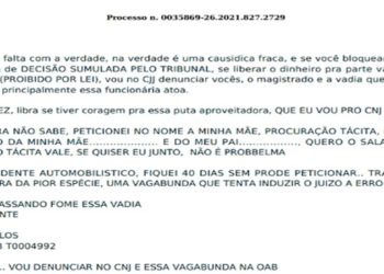 Advogado xinga a parte autora de processo e a servidora do TJ em documento enviado a juiz — Foto: Reprodução
