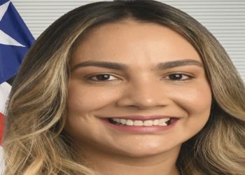 suplente de flavio dino