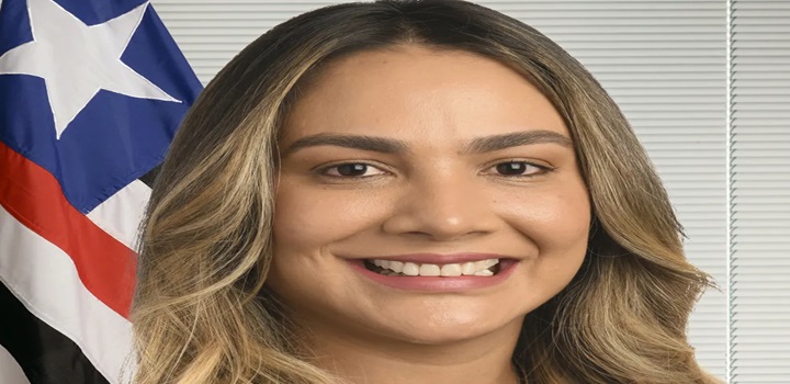 suplente de flavio dino