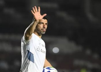 botafogo x gremio melhores momentos