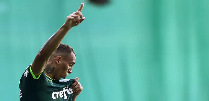 PALMEIRAS CAMPEAO