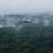 estados unidos na amazonia