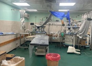 Bebês são encontrados em decomposição em UTI de hospital esvaziado em Gaza