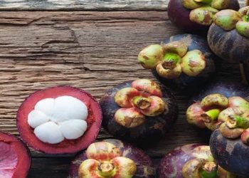 melhor fruta do mundo