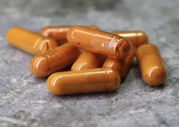 Como produto à base de urucum criado com tecnologia da Unicamp pode combater gordura no fígado