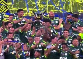 palmeiras campeao brasileiro