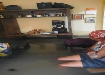 'Quase morri de chorar com essa cena', lamenta filha que viu mãe idosa dormir no sofá encharcado pelo temporal