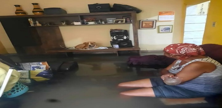 'Quase morri de chorar com essa cena', lamenta filha que viu mãe idosa dormir no sofá encharcado pelo temporal