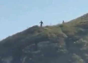 Vídeo com aparição de criaturas de 3,5 metros no litoral do Paraná viraliza e causa comoção nas redes