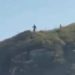 Vídeo com aparição de criaturas de 3,5 metros no litoral do Paraná viraliza e causa comoção nas redes