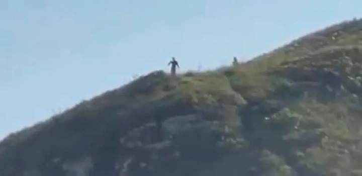 Vídeo com aparição de criaturas de 3,5 metros no litoral do Paraná viraliza e causa comoção nas redes