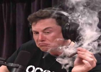 elon musk uso de drogas
