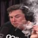 elon musk uso de drogas
