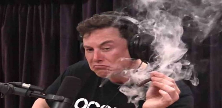 elon musk uso de drogas