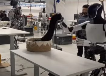 Robô humanoide da empresa de Elon Musk dobra roupas em vídeo; assista