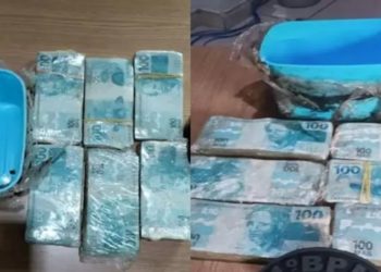 Homem encontra R$ 60 mil em pote de sorvete ao limpar jardim de casa recém-comprada