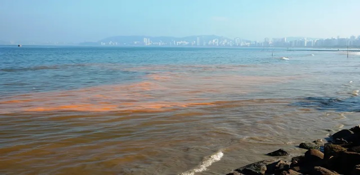 maré vermelha em alagoas