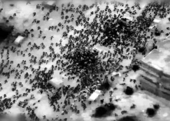 mortes em gaza hoje