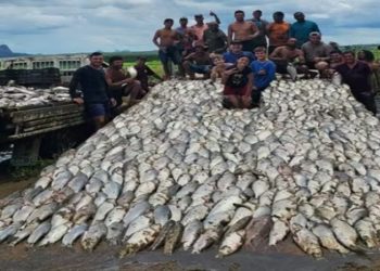 VÍDEO: Represa é esvaziada e toneladas de peixes são doadas no ES