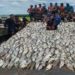 VÍDEO: Represa é esvaziada e toneladas de peixes são doadas no ES