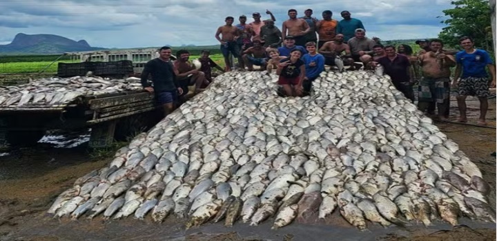 VÍDEO: Represa é esvaziada e toneladas de peixes são doadas no ES