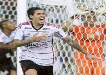 pedro artilheiro do maracana