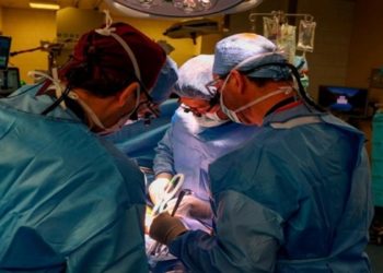 Paciente vivo recebe primeiro transplante de rim de porco geneticamente modificado
