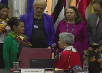 anistia para indigenas reparação coletiva para indios no brasil