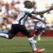 botafogo x flamengo melhores momentos
