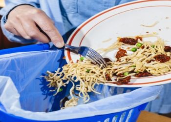 O Programa das Nações Unidas para o Meio Ambiente publicou um relatório sobre o assunto na quarta-feira.
