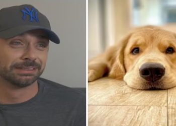 morte de cão em voo da Gol