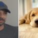morte de cão em voo da Gol