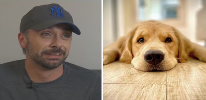 morte de cão em voo da Gol