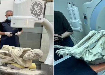 Cientistas dos EUA retomam investigações sobre as 'múmias extraterrestres' do Peru