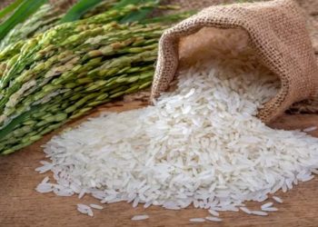 COMPRA DE ARROZ