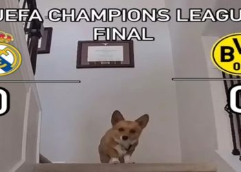 FINAL DA CAHMPIONS 2024
