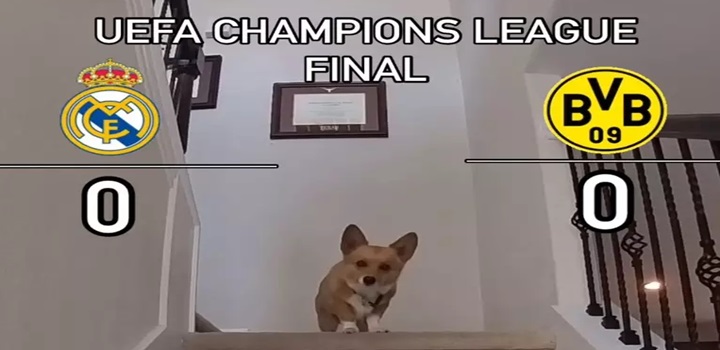 FINAL DA CAHMPIONS 2024
